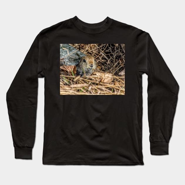 Richardson Ground Squirrel in HDR Long Sleeve T-Shirt by CanadianWild418